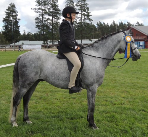 Aspencade hoppar