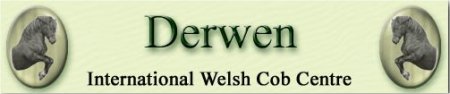 Derwenstuteriet i Wales