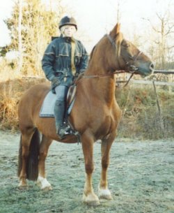 J�mf�r Fairy och Martyn p� Welsh Cob-sidan!