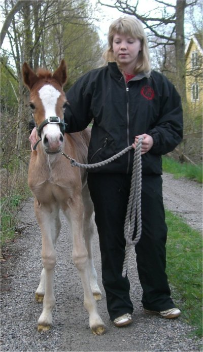 Ffefryn och Malin tränar på att promenera