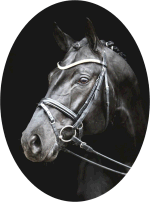 Faustinus 1188
