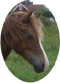 Kardel Ffefryn