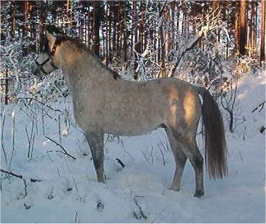 Nu har han hittat henne!