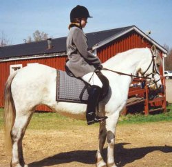 Malin och Aktris innan t�vling