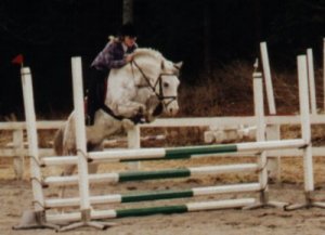 Malin och Zamba p� hoppt�vling