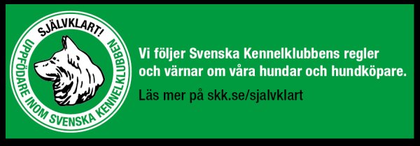 Svensk Kennelklubben