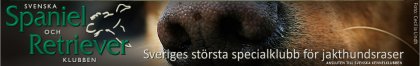 Svenska Spaniel och Retriverklubben