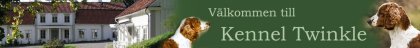 Kennel Twinkle