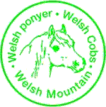 Welsh Pony & Cob Avlen i Danmark